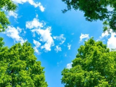 空と木々イメージ｜ザ・パークハウス代々木大山