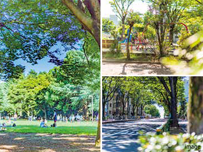 現地周辺の公園｜ザ・パークハウス代々木大山